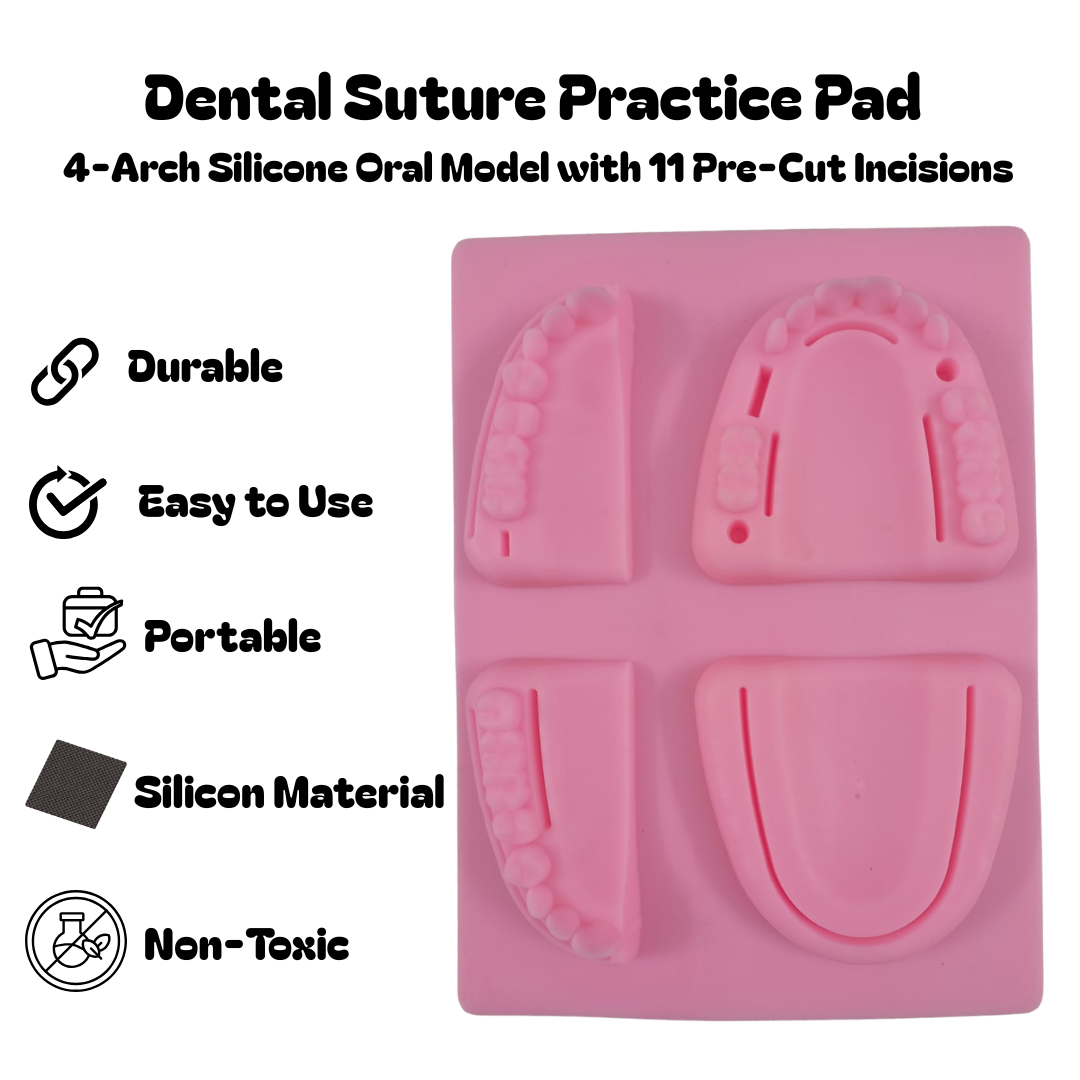 Dental suture practice pad with 4 molded arch sections